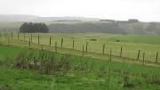2007-06-02 NZ Purakanui IMG_8815 ...provides sweeping views of this and surrounding farms